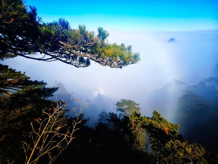 冬日黃山：云海霞光美景如畫