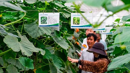 空間站與“卡脖子”，中國在警醒中爭取“逆襲