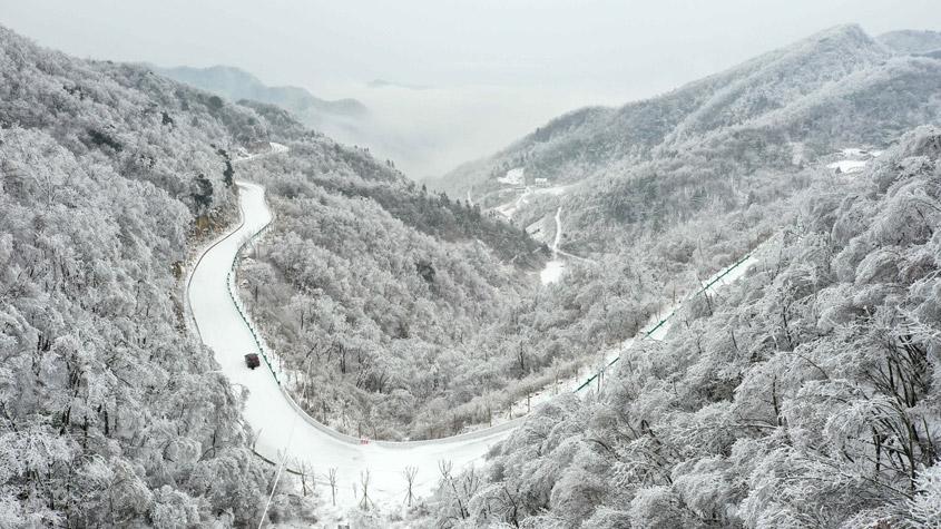 湖北?？惮F森林霧凇景觀 如水墨畫卷