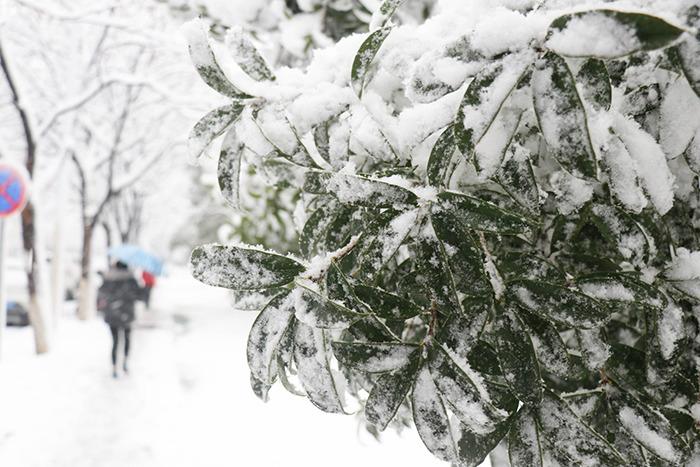 南方多地開啟降雪模式